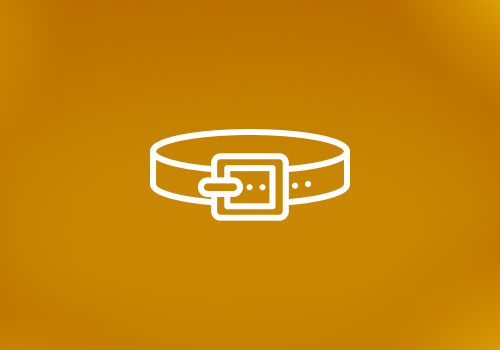 Designer Belt Supplier